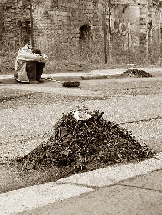 krtkův dort