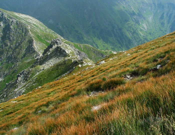 Západné Tatry, Roháče