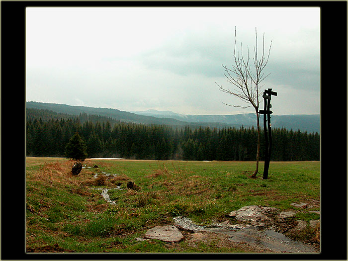 Zmoklá Šumava
