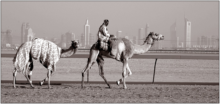 Ride To Town