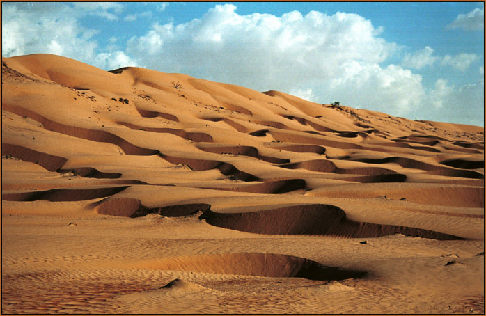 Wahiba Sands