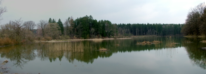 Rybník