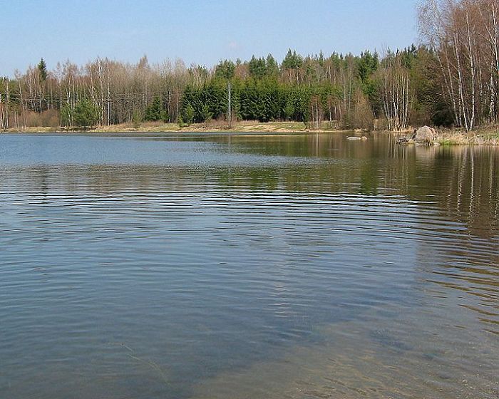 rybník 1