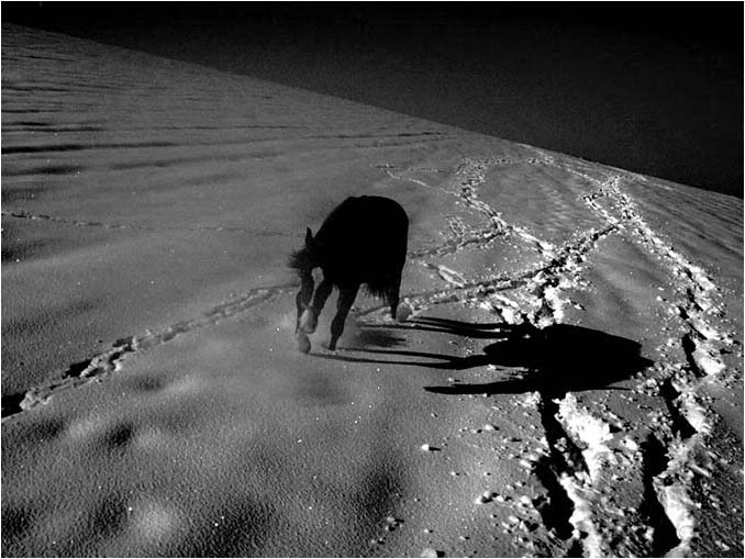 Sethi III. ...On The Moon