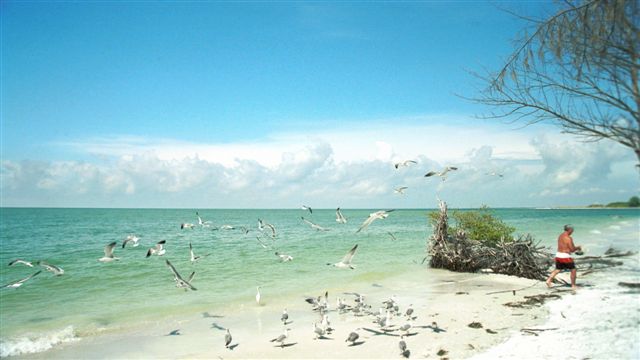 Florida