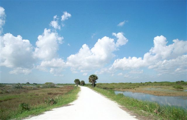 FLORIDA 2