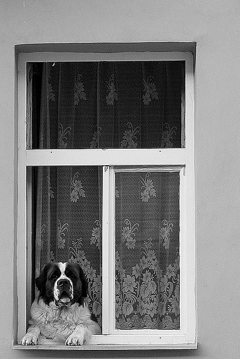 je hezky sousede ...