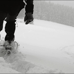 .: svou vlastni cestou :.