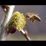 <b>.: jarní probuzení :.</b>