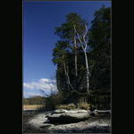 ...od Koňského rybníka....