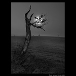 <b>- SAMOTÁŘ -</b>