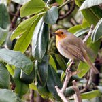 <b>Tady me urcite nenajde...</b>