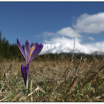 Veľká noc pod Kriváňom