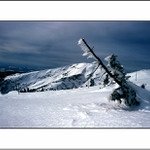 <b>Krkonošská</>