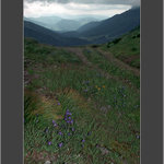 Belianské <b>Tatry</b>