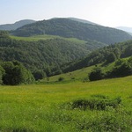 Letný ružín III.