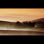 A JITRA JSOU ZDE MLŽNÁ