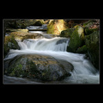 <b>* Odněkud z dálek... *</b>