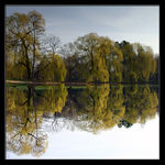 <b>* Svět naruby *</b>