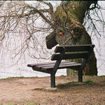 O opuštěné lavičce a tiché vrbě (tentokrát z Exakty)