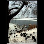 Čekání na jaro III