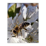 <b><i>Jen makejte ...</i></b>