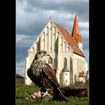 <b>..:: strážce chrámu ::..</b>