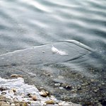 Posledny zajatec zimy