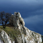 Palava IV - shit, viz. komentář