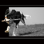 -----Útěk z BW-----