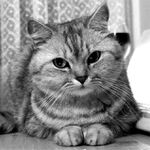 Je ta póza tak správně, pane fotograf?