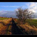 cestou do neznáma.....