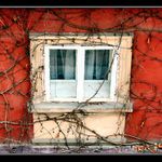 Nove MS Windows :-)