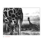 <b>humanwinners I</b>