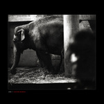 <b>humanwinners II</b>