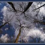 Jednou tam dorosteme