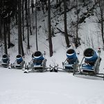 čekání na výstřel...