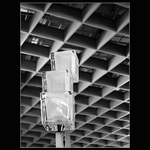 The look on the light