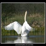 Při ranní rozcvičce