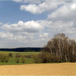 <B>u Rozsochatce</B>