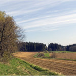 <B>u Rozsochatce II.</B>