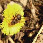 konečně se ohřeji ...