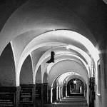 Noční Praha - Loubí