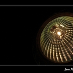 Mušle nebo světýlko?