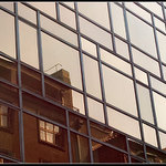 Zkreslený pohled na svět