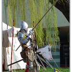 Don Quijote de la Mancha