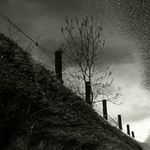 Skutečnost nebo pouhý odraz?