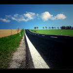 <b>CESTA ZA PRACÍ...</b>