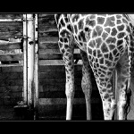 <b>DNESKA TO DOKÁŽU...</b>