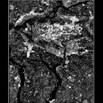 Poločas rozkladu...